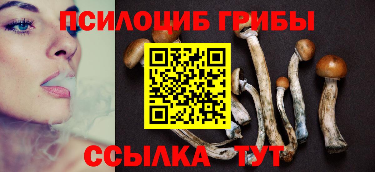 дарнет шоп  Псилоцибиновые грибы Cubensis  Вход с VPN  Галлюциногенные грибы прущие грибы  Новоалтайск 